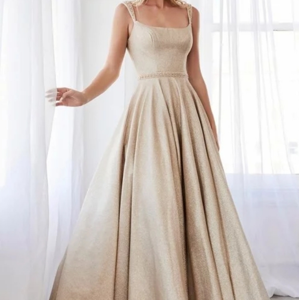 Selicia Dress